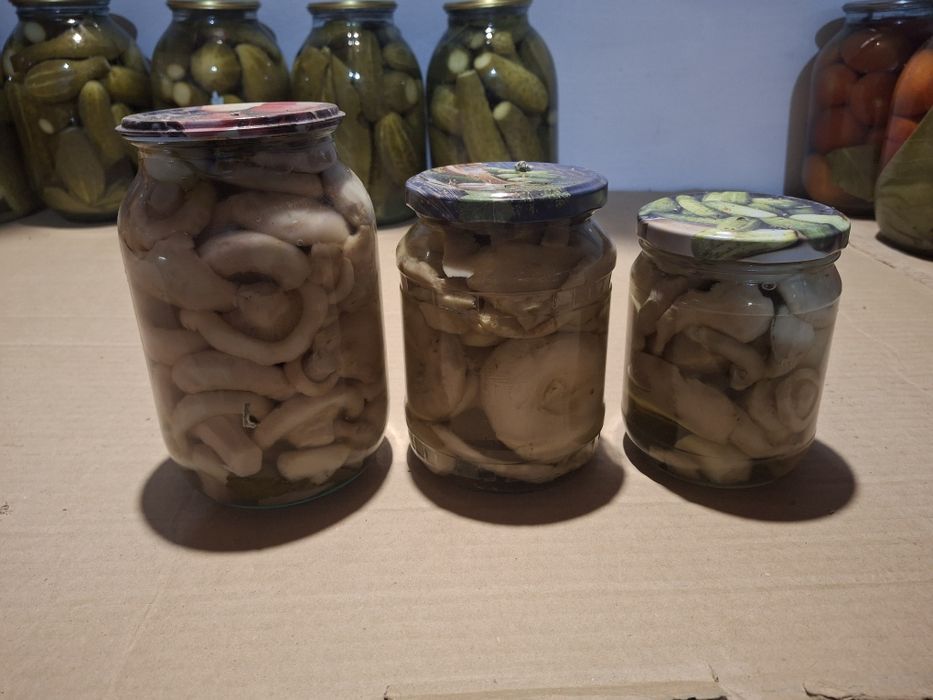 Продам  солонину