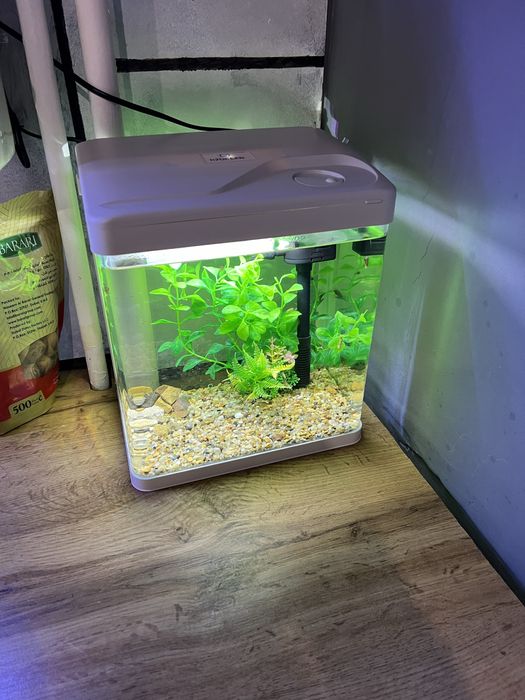 Аквариум заводской