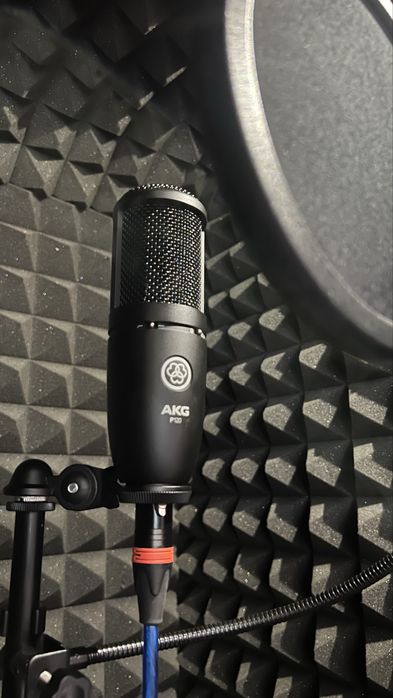 Mikrafon AKG P120