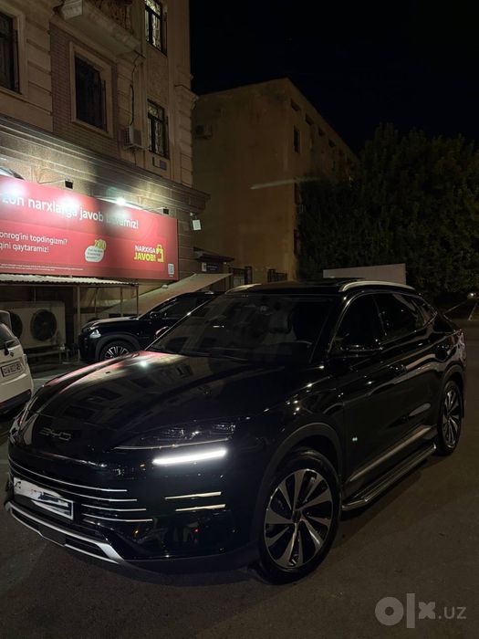 Byd chempion gibrit