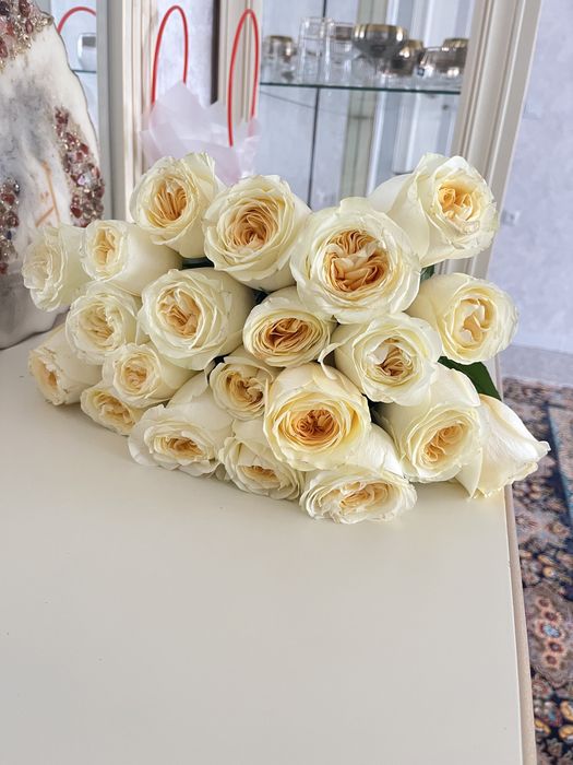 Свежие цветы розы