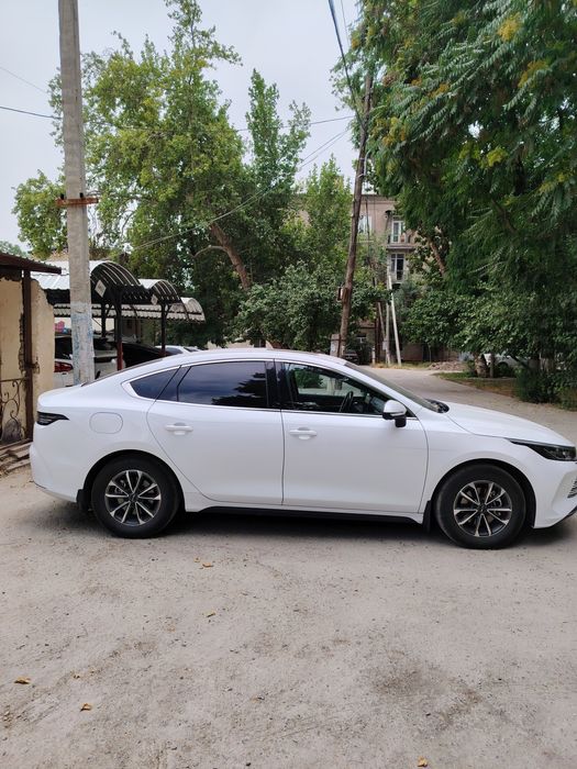 Byd chazor 2 poz