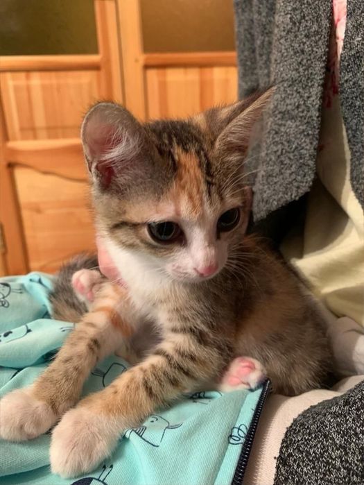 Только хорошим людям