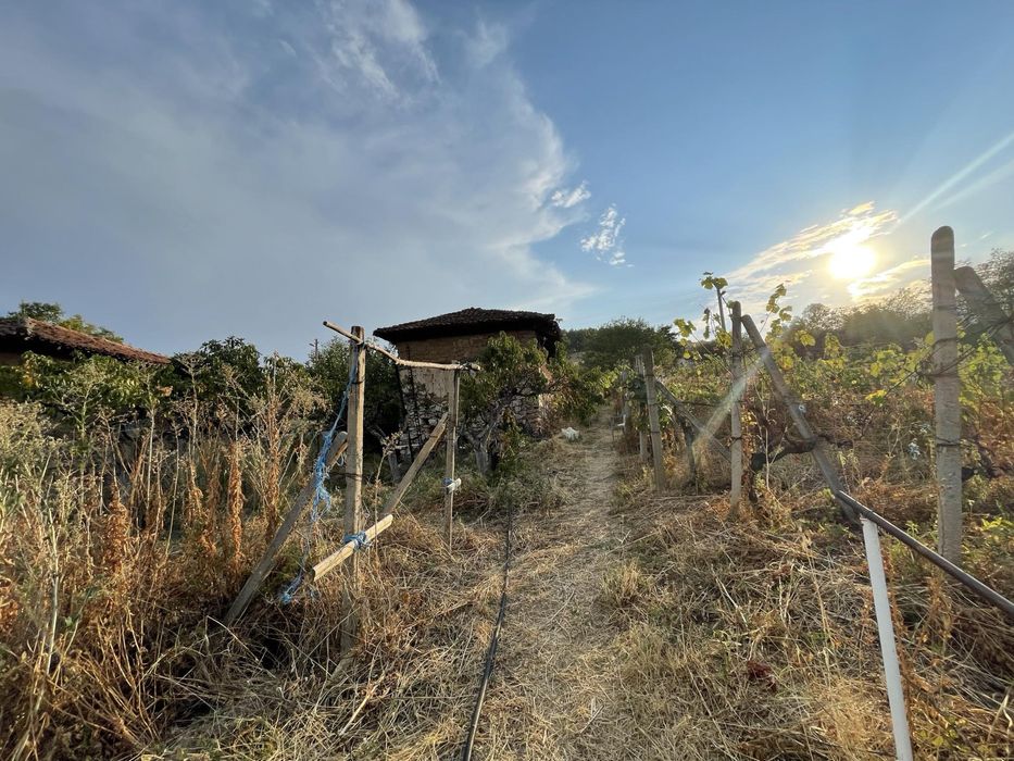 Продава се Къща в Хисаря - 1200 кв.м за 25 €/кв.м - Снимка #5