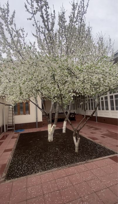 Продается участка