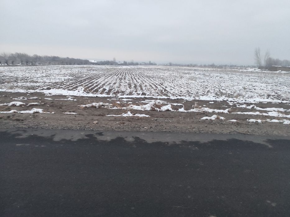 1.5 gektar er maydoni 30 yillik ijara huquqi yoki  beznes xamkorlik