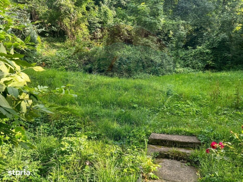 Apartament in centrul Brasovului de inchiriat.