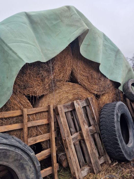 Vand baloate 120x120 si 60x70