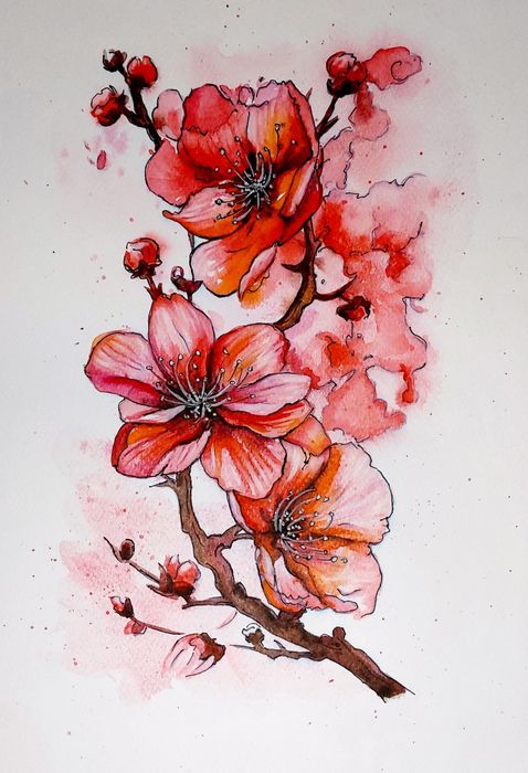 Акварелни картини