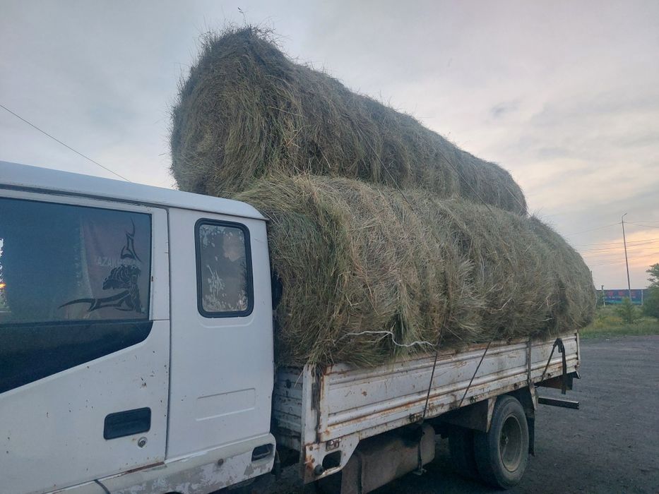 Продам сено в тюках и рулонах степное и луговое
