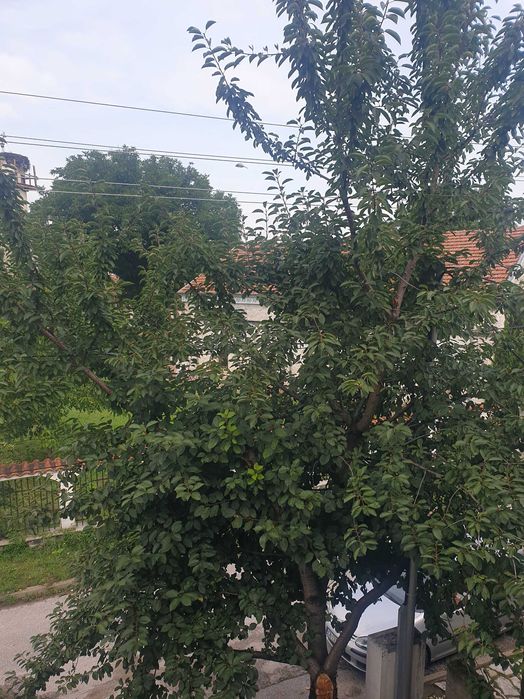 Продава се Четиристаен апартамент в Ракитово - 100 кв.м за 357 €/кв.м - Снимка #18