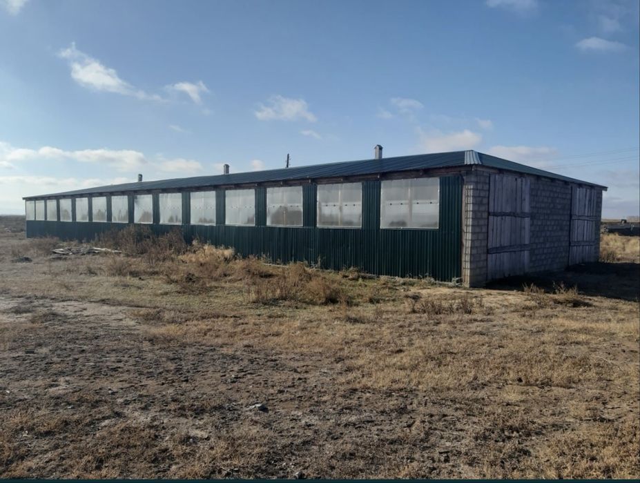 Продам животноводческую базу