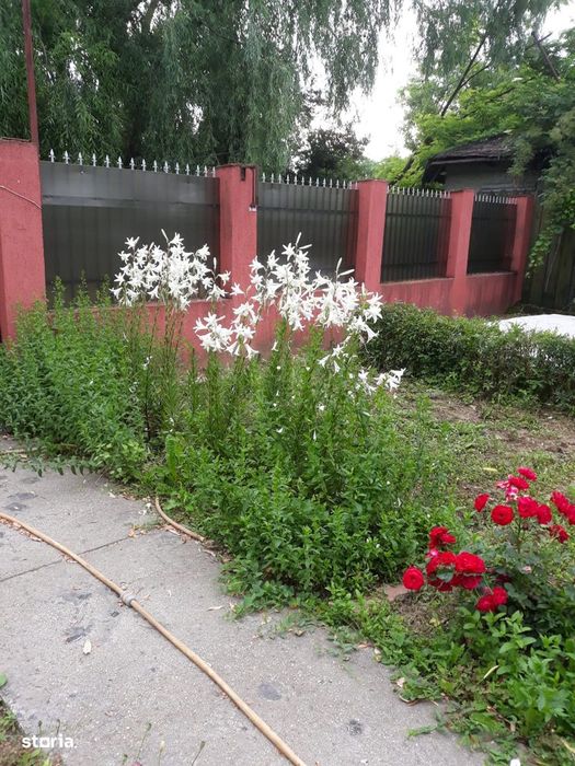 Vanzare casa cu livada