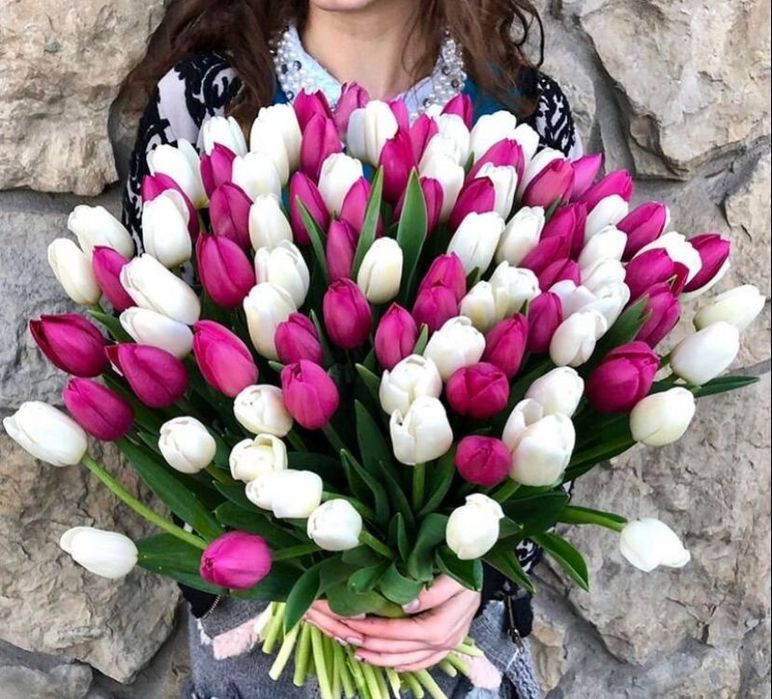 Тюльпаны тепличные