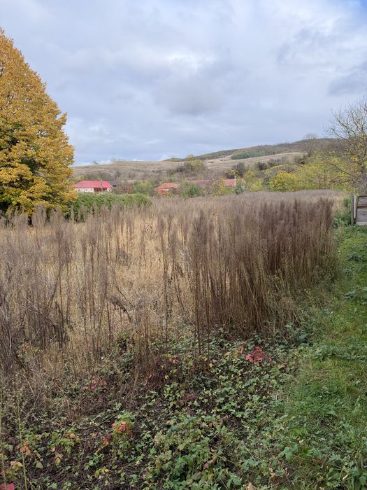 Teren Intravilan Seica Mica Sorostin la 15 Km de Blaj