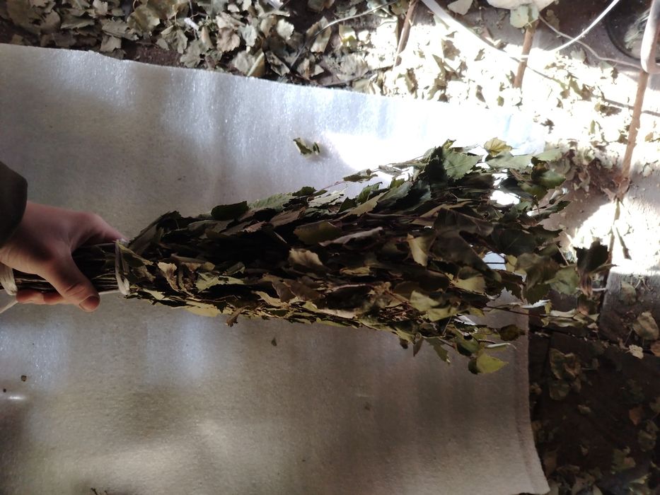 Продам банные веники