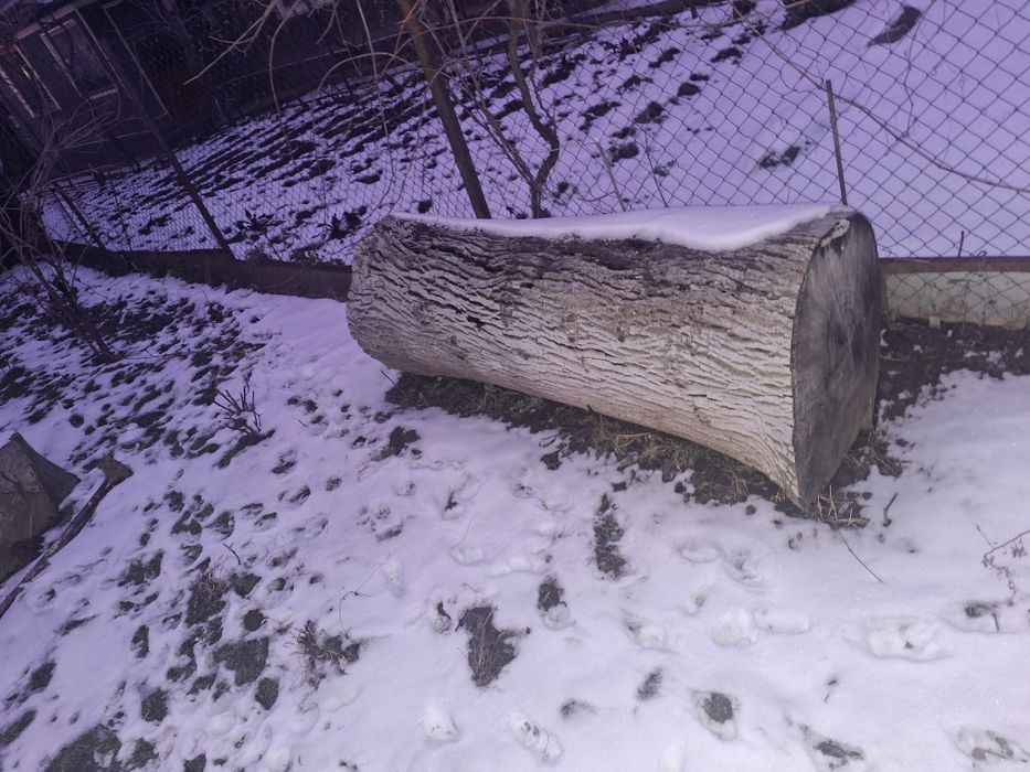 Se vinde buatean nuc