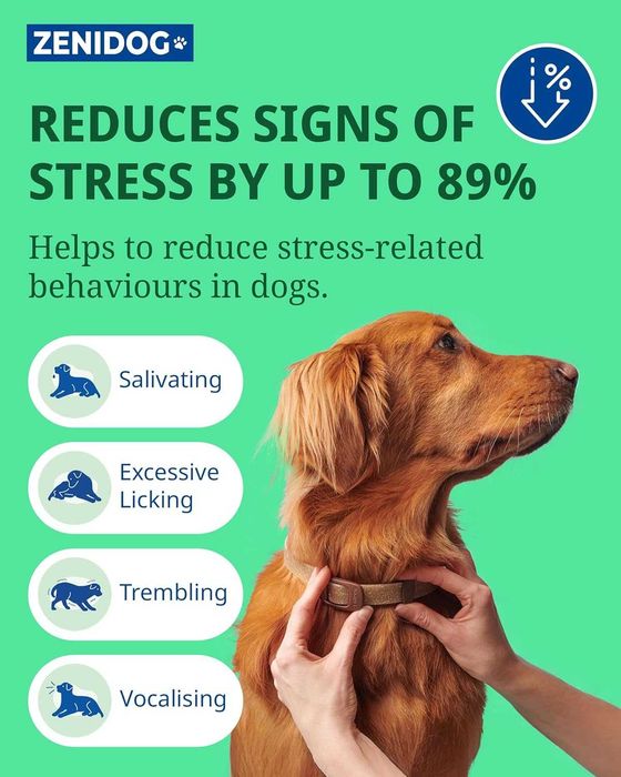 Нашийник Zenidog, Успокояващи феромони, за кучета между 10 кг - 50 кг