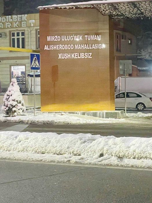 1-комнатная, Алишеробод, Геофизика