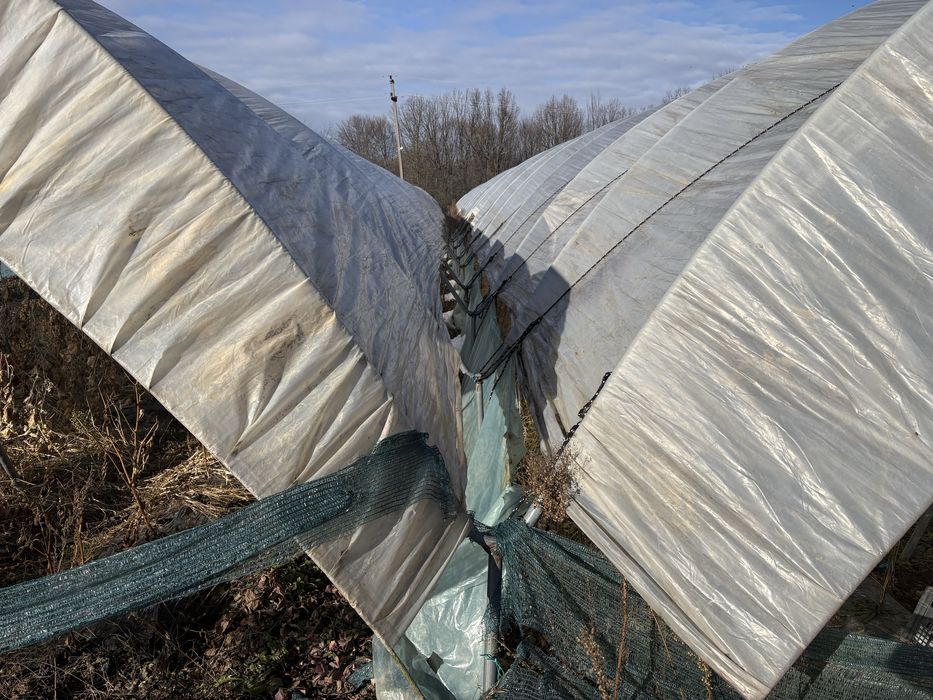 Vand solarii gradina