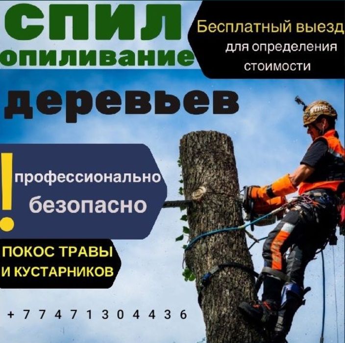 Спилить деревья, санитарная обрезка, кронирование
