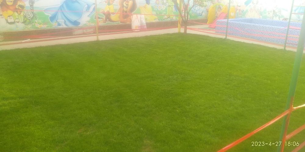 Газоны цветы деревья