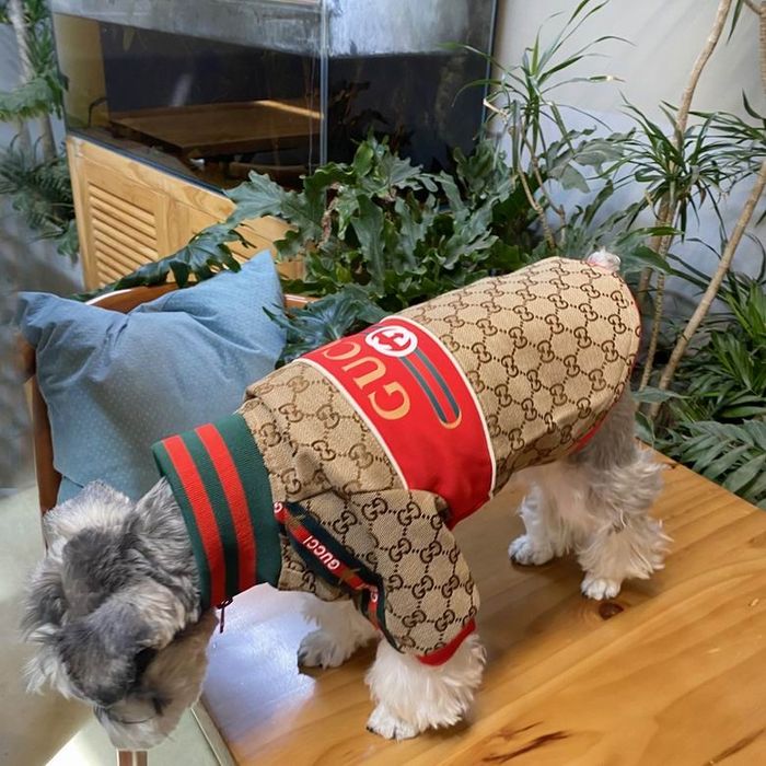 Яке за куче Gucci - размер М