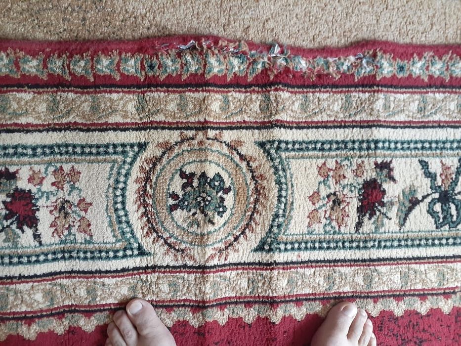 Кілемдер  таза жуылған бу