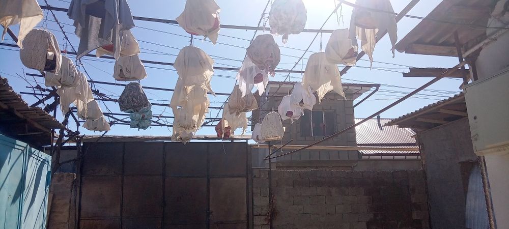 Сайридиган Бедана