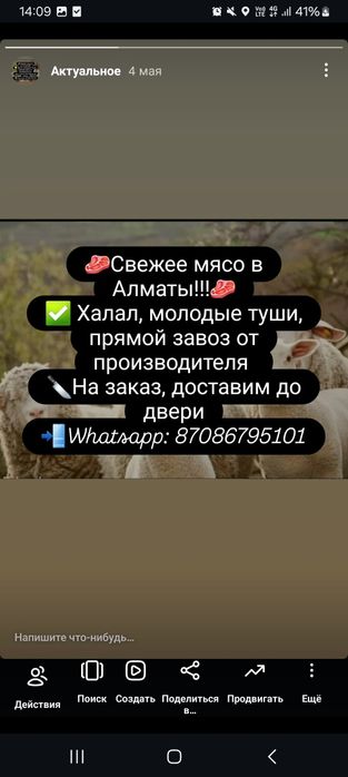 Мясо баранина тушами