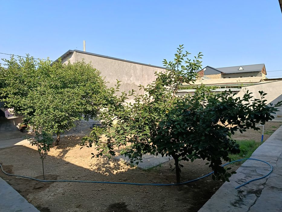 Xovli 4,2 sotok fasad 22metr