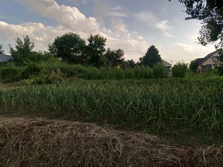 Дом  частный из двух половин