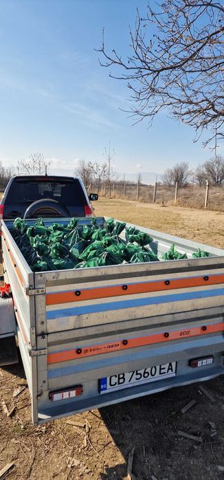 Премиум Биотор от Калифорнийски Червей – Вермикомпост с гарантирано качество