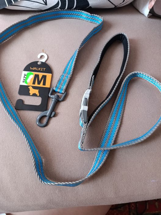 Lesa și zgarda caine