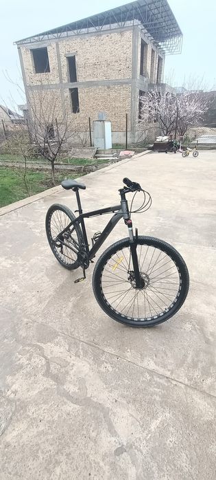 Велик сатылады тианс