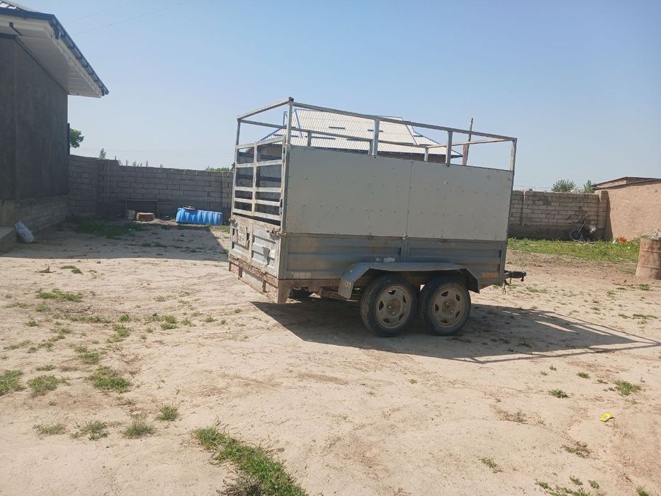 Moshina uchun tilichka