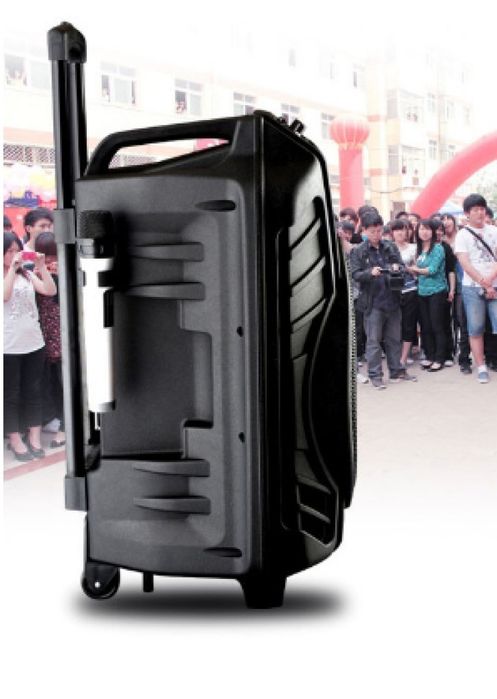 Караоке тонколона за караоке партита, улични музикални, официални съби