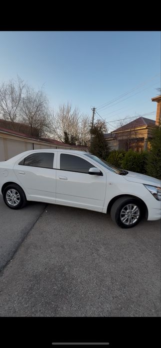 Cobalt 2024 бензин