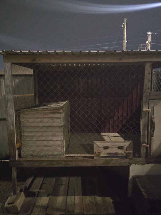 Собачьее вольера