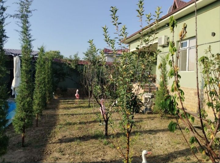 Срочно сдаётся участок в аренда янги узбекистан