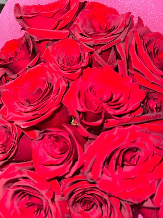 Продам цветы дешево!