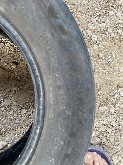 Донгелек сатамын жазғы