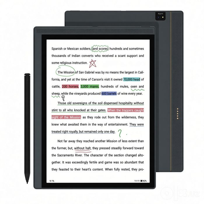Электронная книга + блокнот Bigme B1051C Lite Color 10.3" inch 4/64 Г