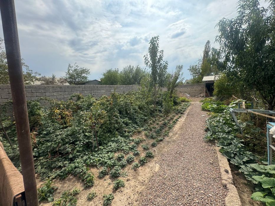 дала ховли (дача)