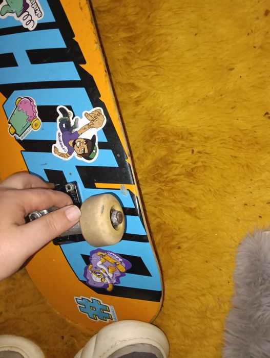 Placa skate independent bones Birdhouse