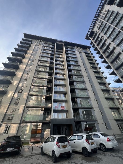 Зарафшон   сити  …