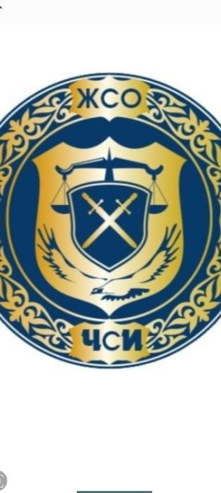 Частный судебный исполнитель.