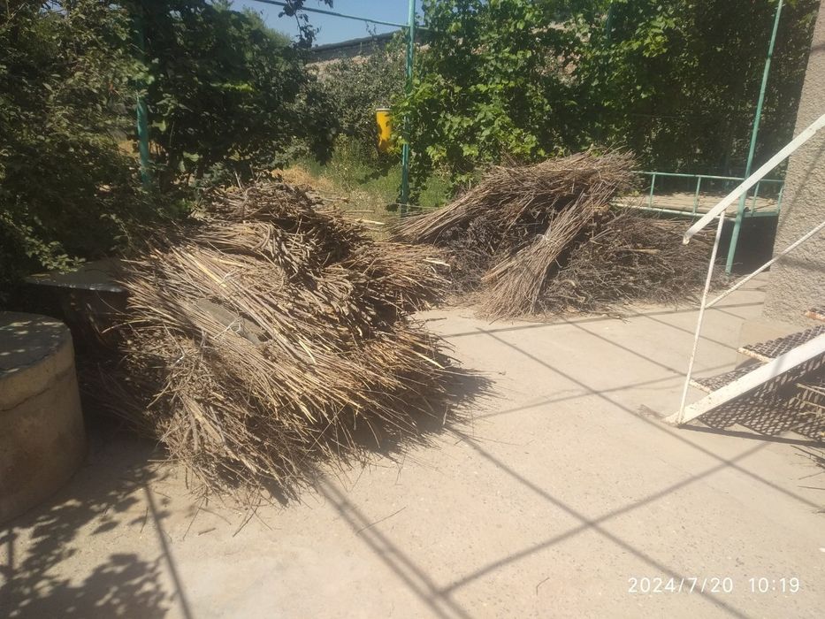 Utin sotiladi yaxshi narxada