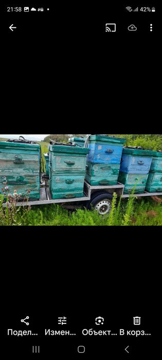 Пчеловодческие улики