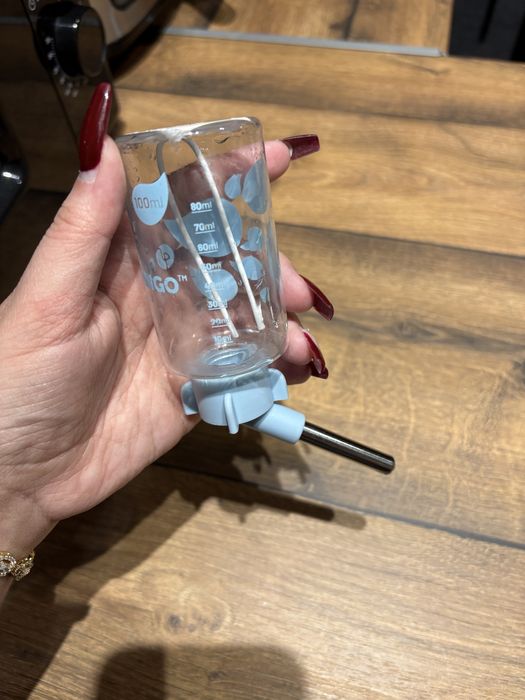 Всичко за хамстери